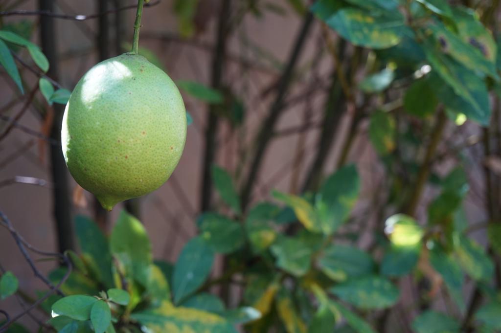 Antica Dimora Horti Luculliani Rom